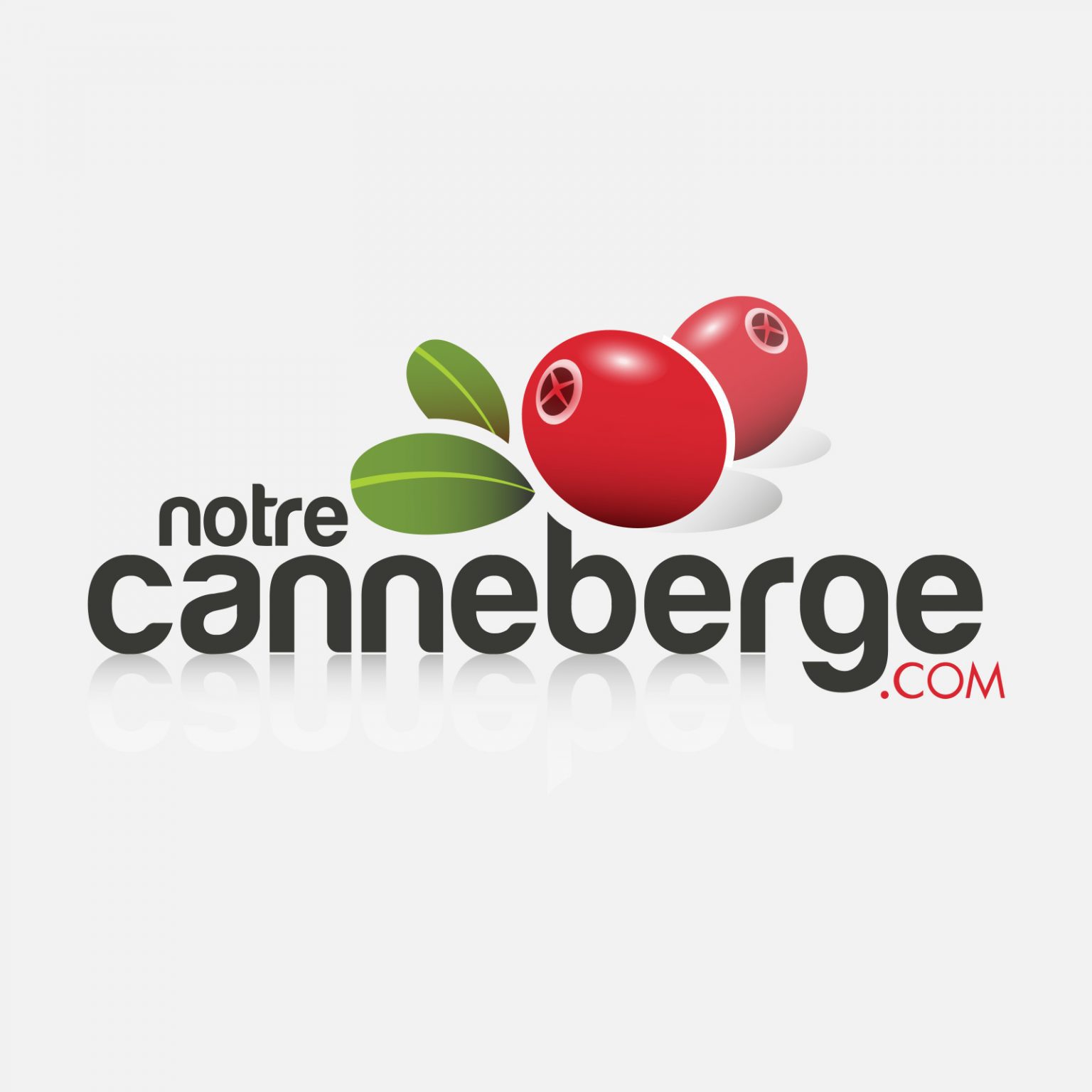 Association Des Producteurs De Canneberges Du Québec - Vertisoft